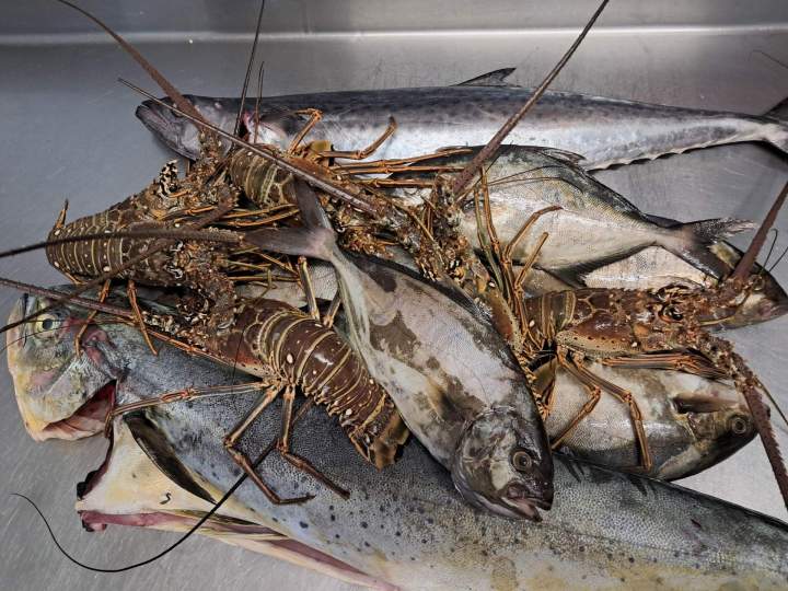 Langouste et poisson Martinique