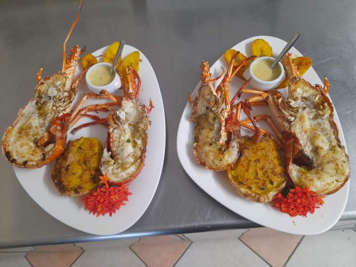 Dégustation de plats de poisson et langouste Martinique